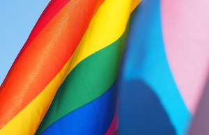 Celebrating Pride Month: Highlighting Diversity & Inclusion